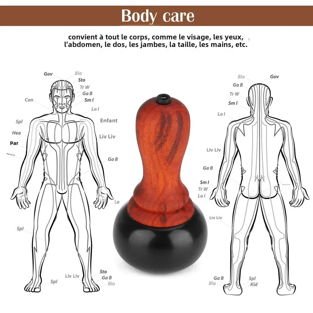 Instrument de Moxibustion chauffant